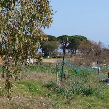 Beachfront - Fronte Spiaggia Di *
